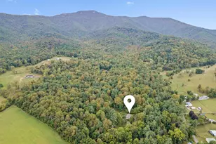 361 Printz Mill Rd, Luray, VA 22835 - Photo 75