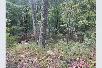 Lot 41 Panorama View, Stanley, VA 22851 - Photo 1