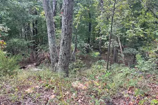 Lot 41 Panorama View, Stanley, VA 22851 - Photo 1