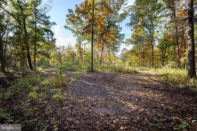 480 Mont View Lane, Luray, VA 22835 - Photo 77