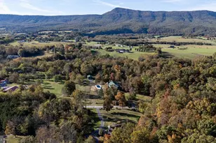 480 Mont View Ln, Luray, VA 22835 - Photo 91