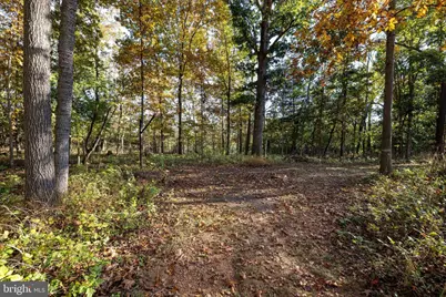 480 Mont View Lane, Luray, VA 22835 - Photo 75