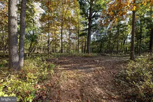 480 Mont View Ln, Luray, VA 22835 - Photo 75