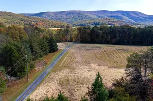 Lot 1 Young Rd, Rileyville, VA 22650 - Photo 1