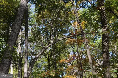 River View Place, Shenandoah, VA 22849 - Photo 13