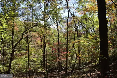 River View Place, Shenandoah, VA 22849 - Photo 11