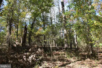 River View Place, Shenandoah, VA 22849 - Photo 9