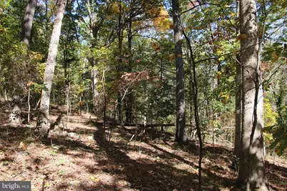 River View Place, Shenandoah, VA 22849 - Photo 7