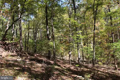 River View Place, Shenandoah, VA 22849 - Photo 3