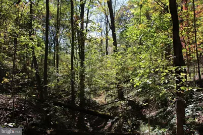 River View Place, Shenandoah, VA 22849 - Photo 17