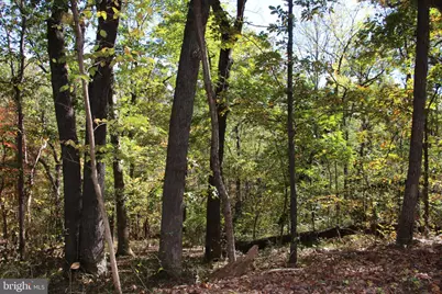 River View Place, Shenandoah, VA 22849 - Photo 5