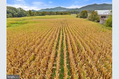 0 Fairview Rd, Luray, VA 22835 - Photo 19