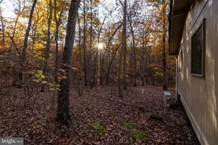 335 Wildwood Ln, Shenandoah, VA 22849 - Photo 35