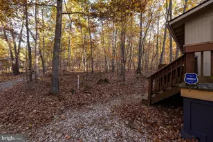 335 Wildwood Ln, Shenandoah, VA 22849 - Photo 33