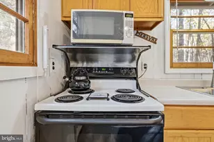 335 Wildwood Ln, Shenandoah, VA 22849 - Photo 11