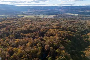 335 Wildwood Ln, Shenandoah, VA 22849 - Photo 53