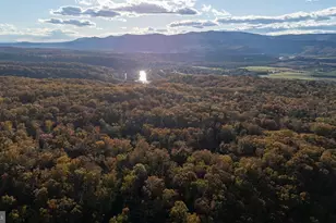 335 Wildwood Ln, Shenandoah, VA 22849 - Photo 51