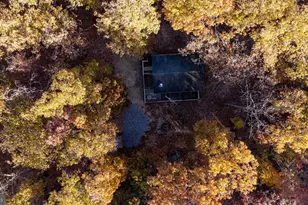 335 Wildwood Ln, Shenandoah, VA 22849 - Photo 43