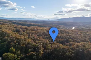 335 Wildwood Ln, Shenandoah, VA 22849 - Photo 49