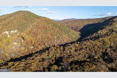 335 Wildwood Lane, Shenandoah, VA 22849 - Photo 45