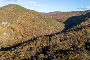 335 Wildwood Ln, Shenandoah, VA 22849 - Photo 45