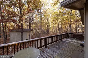 335 Wildwood Ln, Shenandoah, VA 22849 - Photo 41