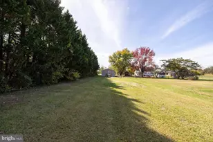 223 Fairview Rd, Luray, VA 22835 - Photo 53