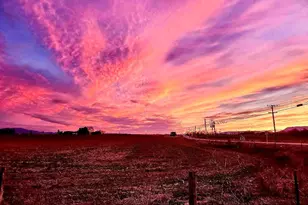 515 Fourth St, Shenandoah, VA 22849 - Photo 67