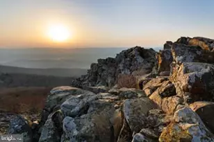 100 Cottage Dr, Luray, VA 22835 - Photo 55