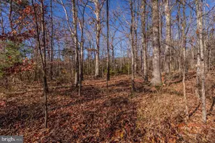 987 Riverside Dr, Luray, VA 22835 - Photo 81