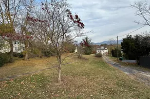 140 S Court St, Luray, VA 22835 - Photo 1