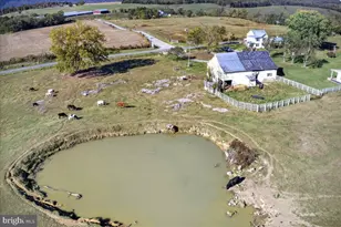 239 Mt Carmel Rd, Luray, VA 22835 - Photo 113