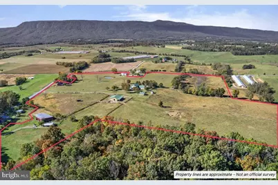239 Mt Carmel Road, Luray, VA 22835 - Photo 9