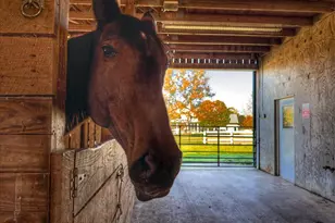 239 Mt Carmel Rd, Luray, VA 22835 - Photo 73