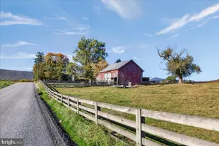 239 Mt Carmel Rd, Luray, VA 22835 - Photo 93