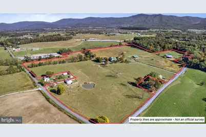 239 Mt Carmel Road, Luray, VA 22835 - Photo 5