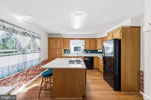 2800 Rocky Branch Rd, Luray, VA 22835 - Photo 11