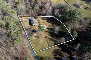 2800 Rocky Branch Rd, Luray, VA 22835 - Photo 93