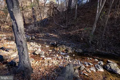 2800 Rocky Branch Road, Luray, VA 22835 - Photo 77