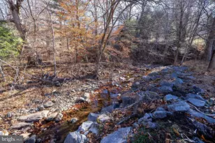 2800 Rocky Branch Rd, Luray, VA 22835 - Photo 75