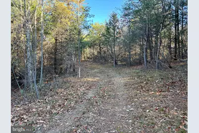 Harper Valley Road, Luray, VA 22835 - Photo 13