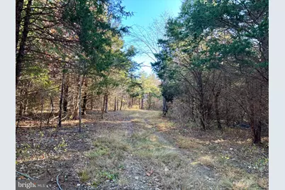 Harper Valley Road, Luray, VA 22835 - Photo 11