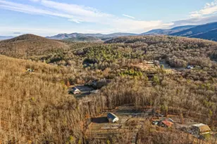 324 Old Wagon Rd, Luray, VA 22835 - Photo 43