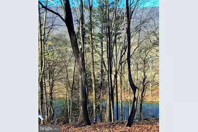 Lot 10 Kauffmans Mill Road, Luray, VA 22835 - Photo 3