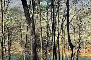 Lot 10 Kauffmans Mill Rd, Luray, VA 22835 - Photo 3