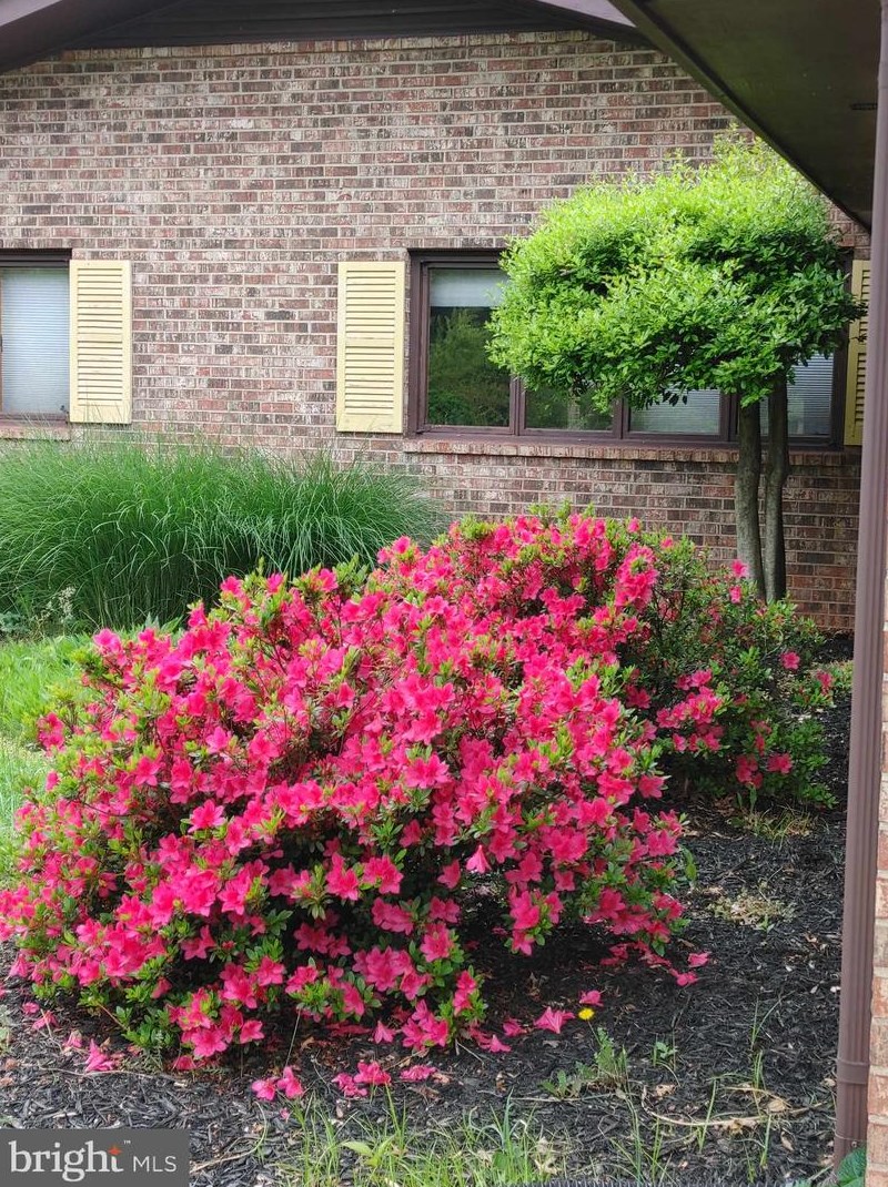 8405 Sunset Dr, Manassas VA  20110-3827 exterior