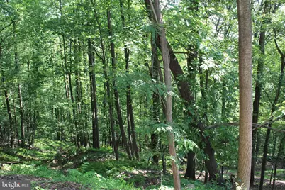 1507, 1505, 1503, 1501 Summit Drive, Haymarket, VA 20169 - Photo 3