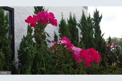 11441 Robertson Drive #201 & 202, Manassas, VA 20109 - Photo 3