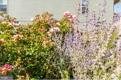 15855 Lavender Woods Lane, Haymarket, VA 20169 - Photo 33