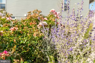 15855 Lavender Woods Ln, Haymarket, VA 20169 - Photo 33